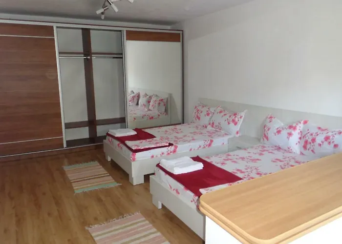 Munteanu Эфорие Норд